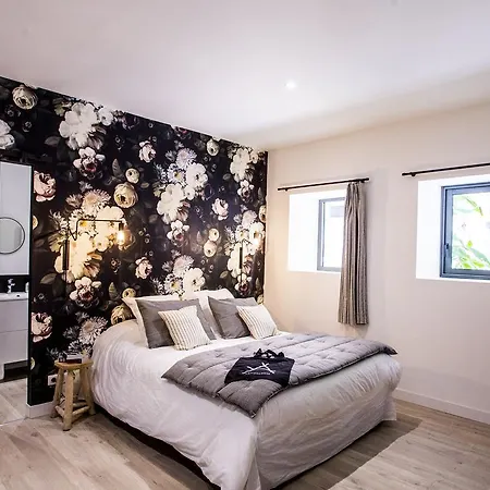 Frühstückspension Antichambre Nîmes